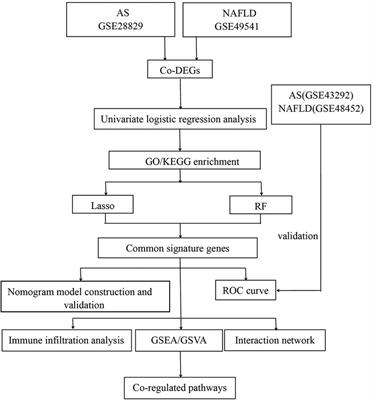 Identification of common signature genes and pathways underlying the pathogenesis association between nonalcoholic fatty liver disease and atherosclerosis